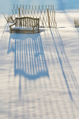 Tracy Hindle - Frozen 03
