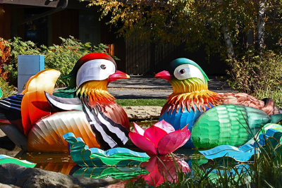 Tracy Hindle Rainbow of Colours 002 - Calgary Zoo Illuminasia 2015