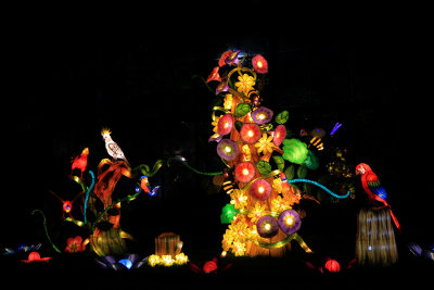 Tracy Hindle Rainbow of Colours 003 - Calgary Zoo Illuminasia 2016