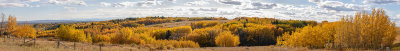 Bruce Smith Fall Colours 001