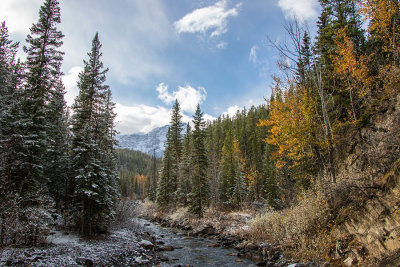 Bruce Smith Fall Colours 003