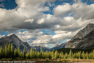 David Atkinson Fall Colours 006 Mount Shark - 1