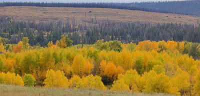 Finn Jakobsen Fall Colours 001