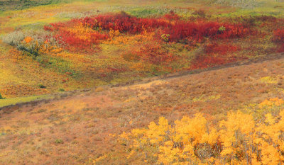 James Rendell Fall Colours 001