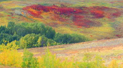 James Rendell Fall Colours 002