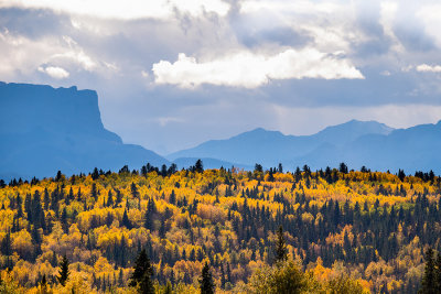 Suzan McEvoy Fall Colours 002