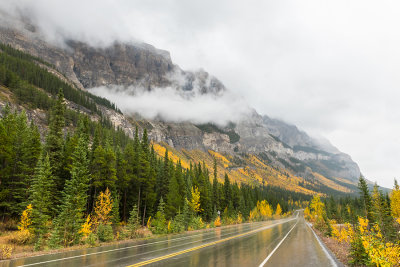 Suzan McEvoy Fall Colours 008