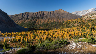 Andy Thomas 002 Fall Colours