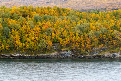 Dale Walde 004 Fall Colours