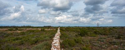 Alvaret-10October2020.jpg