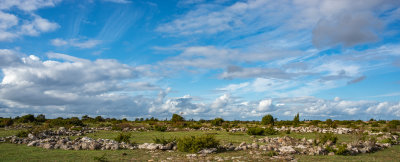 Alvaret-10October2020.jpg