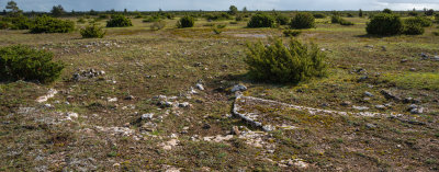 Alvaret-10October2020.jpg