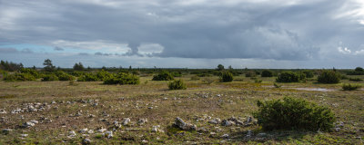 Alvaret-10October2020.jpg