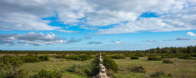 Swedish Island Öland