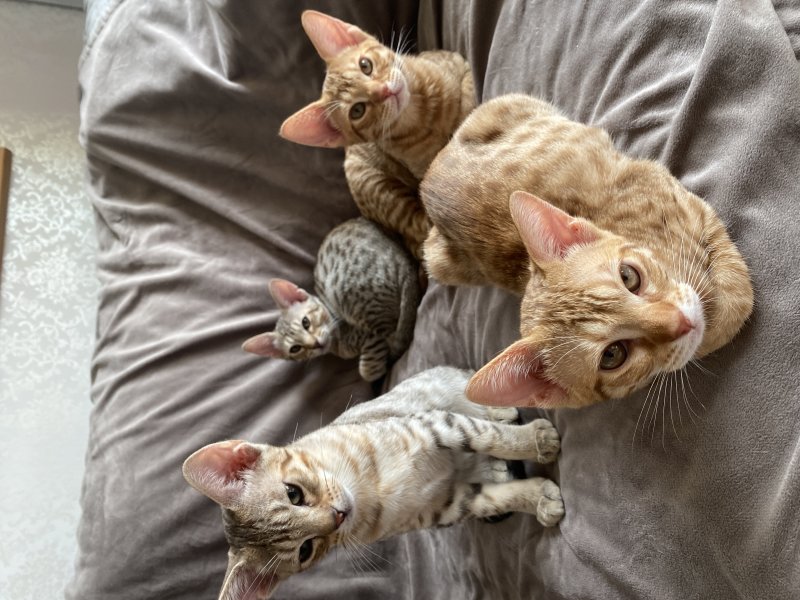 Some of the gang