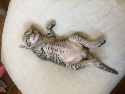 Passed out after a long time in the milk bar