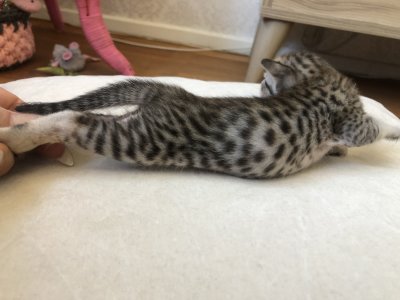 Good spots