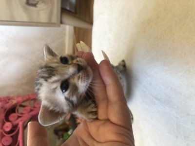 Hello world!