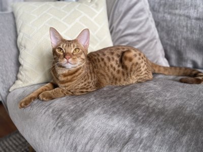 Turning into a handsome lad