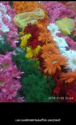 Different coloured flowers tell that it was a colourful Divine Event