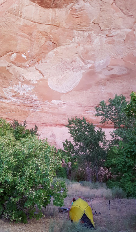 September 2019 Escalante area -Upper Coyote first camp in alcove near the junction with Sleepy Hollow