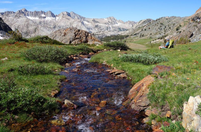 Meadows west of McGee Pass