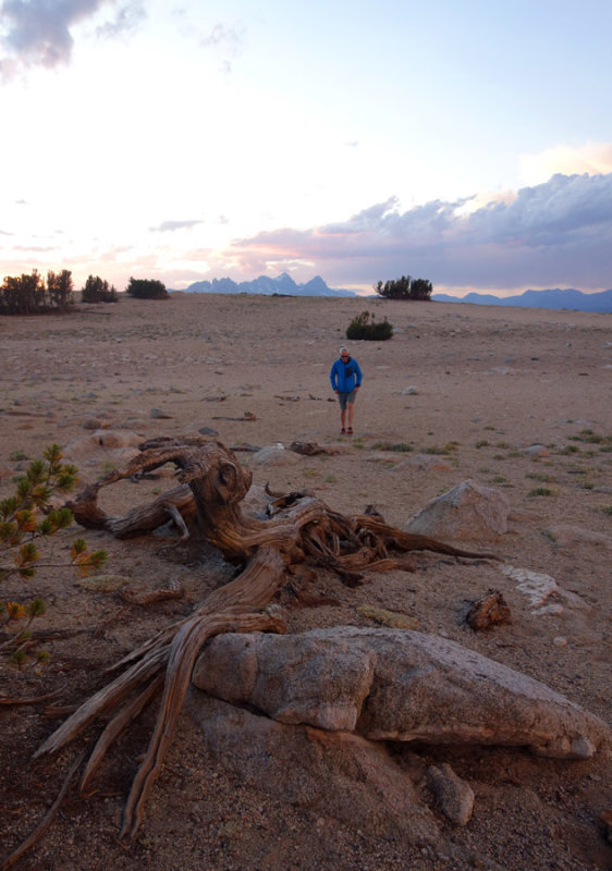 Mammoth Crest camp- cool evening light