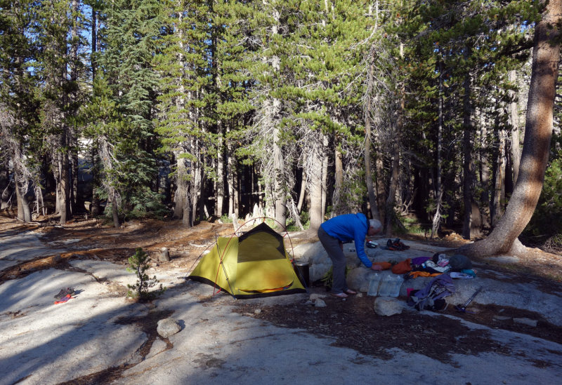 August 2019 Sierra - Back on trail and we camp at Lyell Fork 