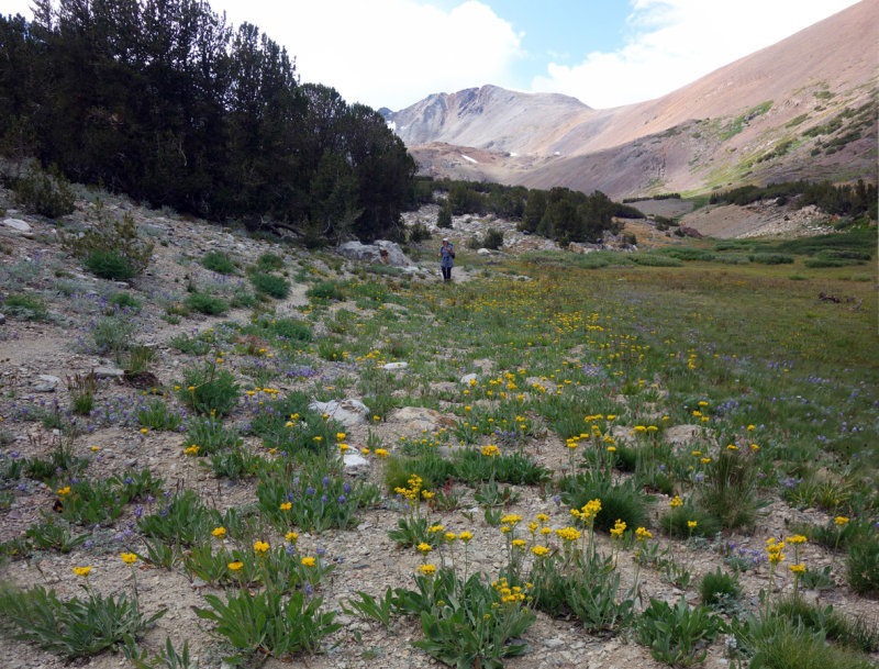 Hiking east of Alger Lakes 