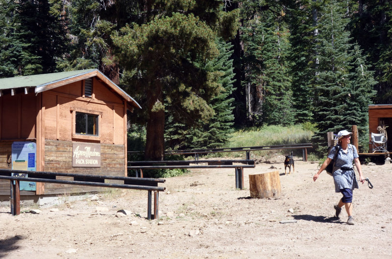 Arriving at Agnew Meadows after 6 great days out