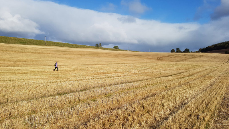 Oct 19 Hiking on the Black Isle from Munlochy to Bay Wood
