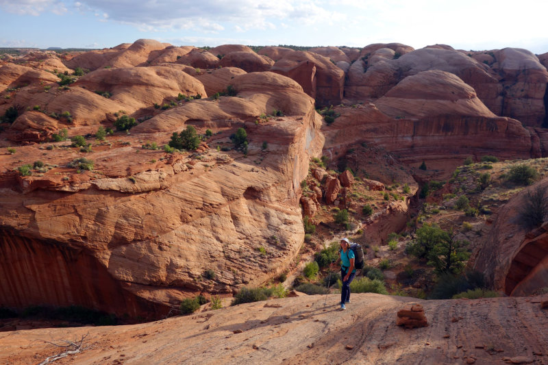 Above The Gulch- heading parallel to the canyon looking for another scramble to descend back in after the difficult dryfall