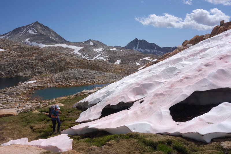 Up to White Bear Lake Pass - this is a cool pretty wild area