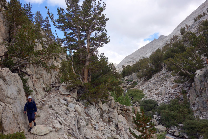 Descending Hilgard Branch below Lake Italy on rough trail that improved lower down