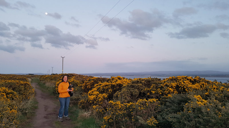 April- evening walk to Chanonry Point