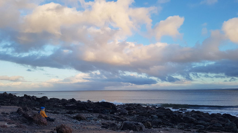 Jan 21 Eathie beach, Black Isle