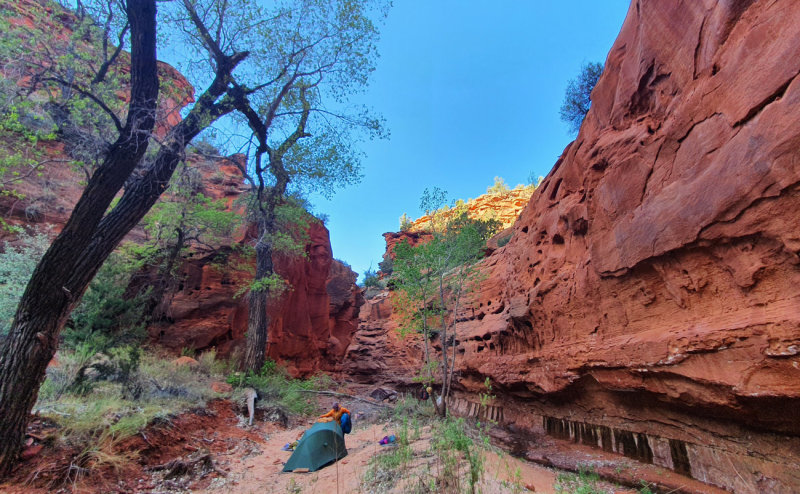 2022 April 28th US Hayduke hike- Excellent camp in Starlight Canyon just below the narrows