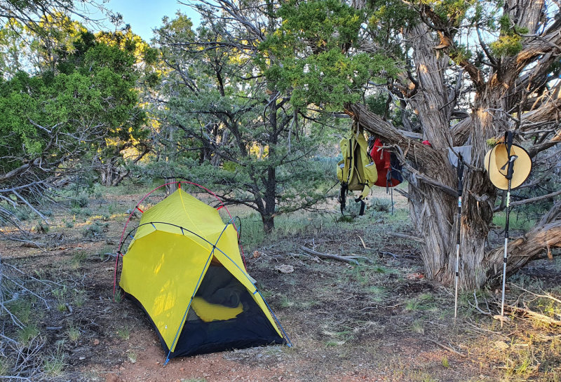 2022 May 4th US Hayduke hike- Juniper trees can come in handy to store gear! Kiabab plateau south of Jacob Lake