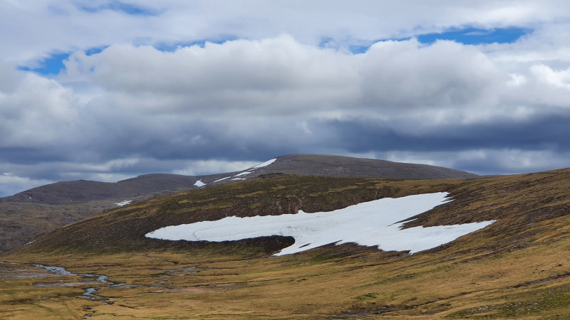 Jun 22 Snow lingering on the Cairngorms plateau (swooping bird!)
