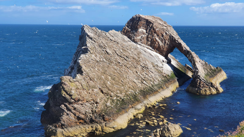 Jun 22 Bow Fiddle Rock, Moray coast