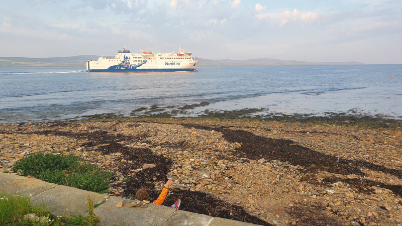 July 22 Orkney- Stromness campsite, saluting the ferry