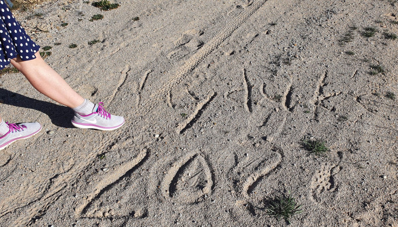 Someone else has been on this dirt road before us!