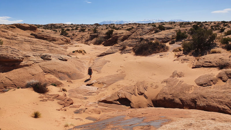 It feels like we are in the high desert now. Upper Courthouse Wash Arches NP