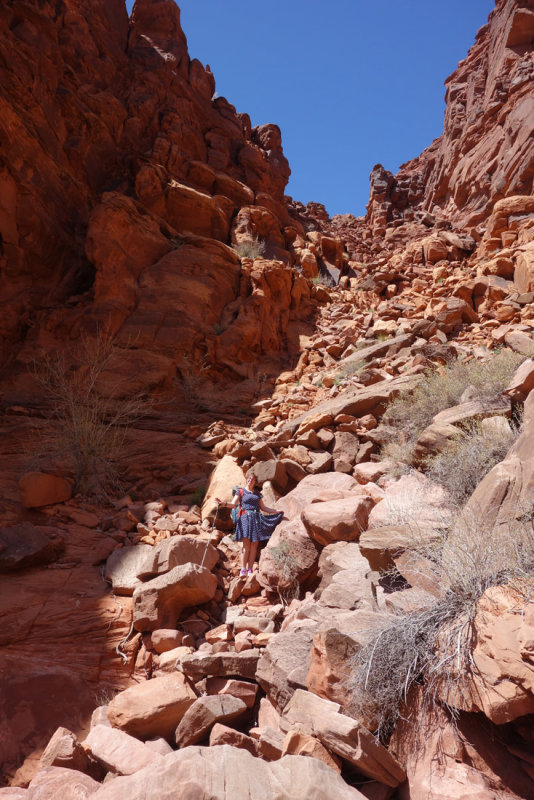 Descending a steep rubbly trail from Amasa Back