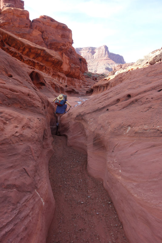 An interesting shortcut up a side canyon beyond Chicken Corner