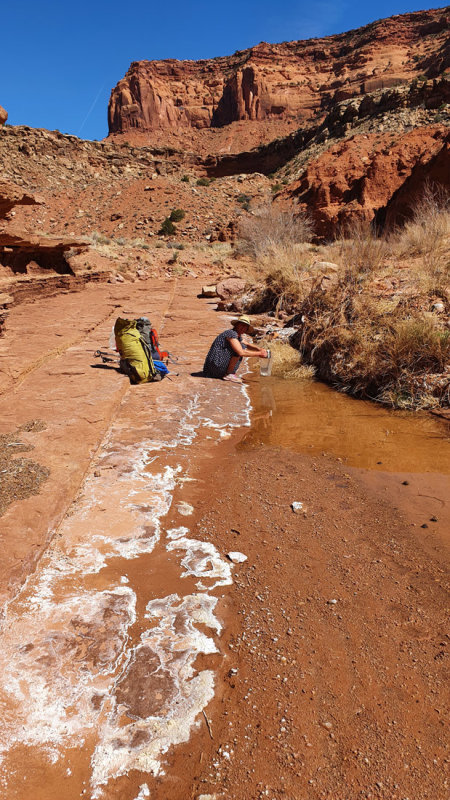 Water! In Happy Canyon- we also collected from these seeps in spring 2014