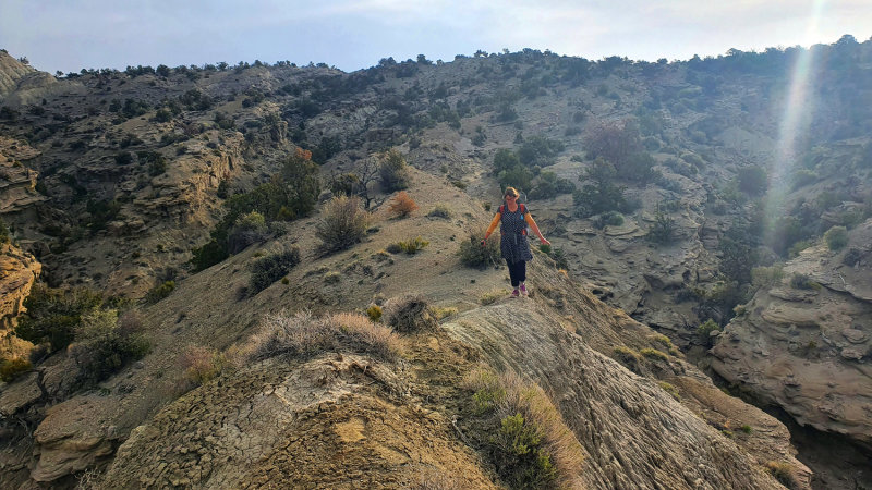 Day 2 Descending into mudhills and Blue Wash