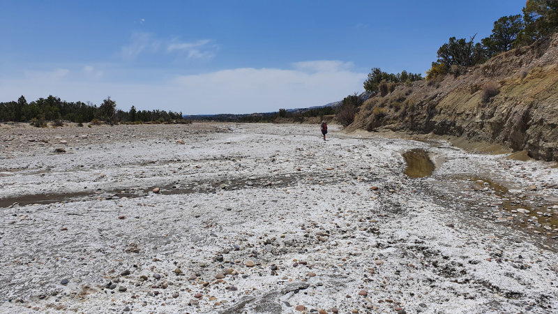 Wahweap Creek and some alkali pools downstream from Headquarters Springs