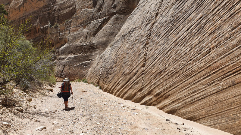 From Round Valley Draw we hiked into the sandier upper Hackberry Canyon