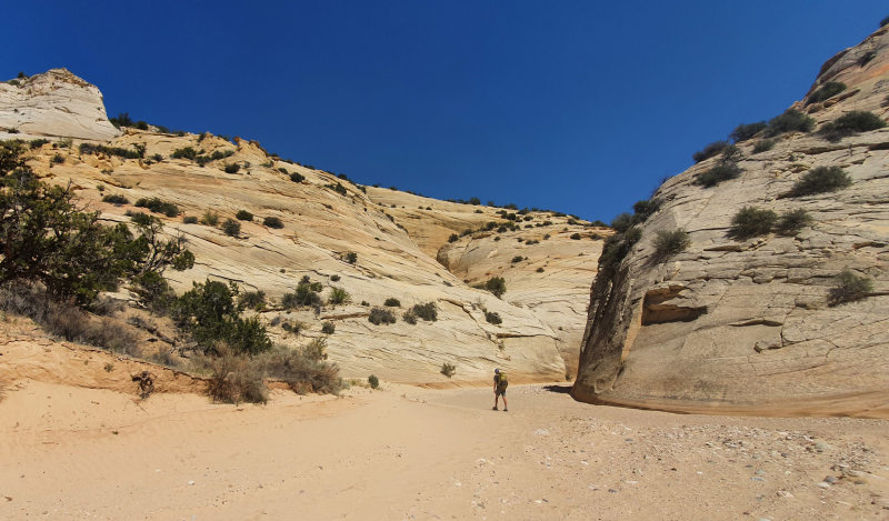 Hackberry Canyon
